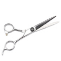 Hair Scissors for Professional Hair Cutting